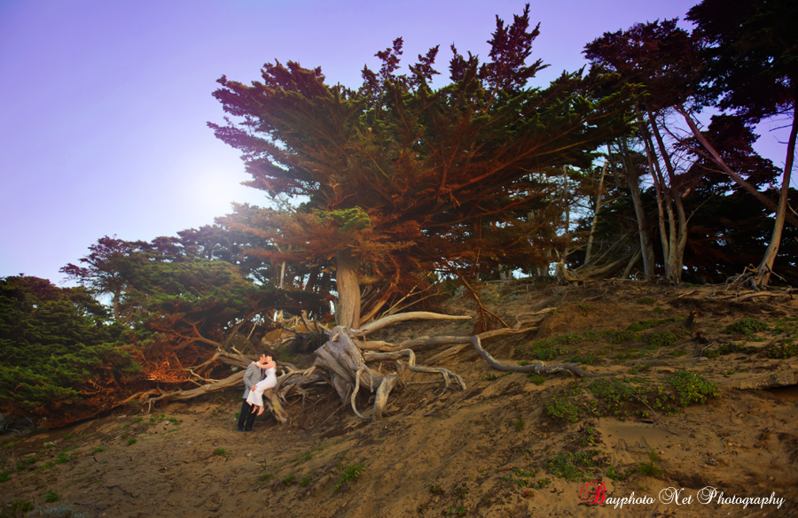CR_San_Francisco_Palace_of_Fine_Arts_wedding_66s