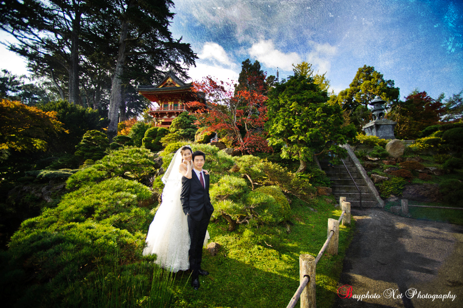 AH_San_Francisco_golden_gate_park_wedding_44s